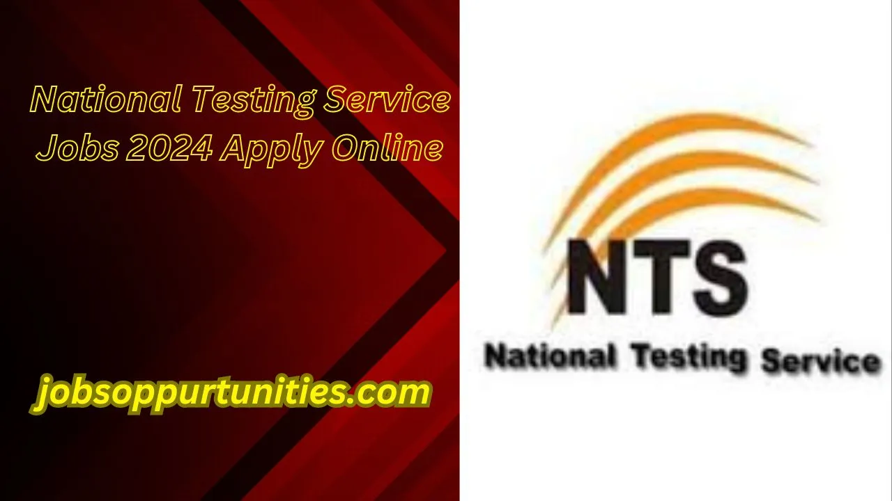 National Testing Service Jobs 2024 Apply Online