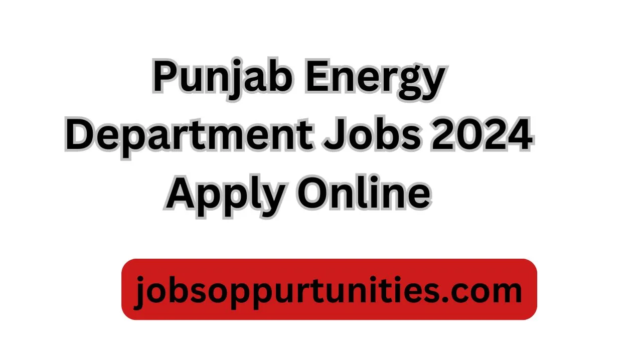 Punjab Energy Department Jobs 2024 Apply Online